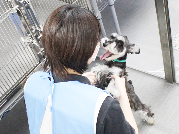 子犬と母犬は２年生がお世話します！